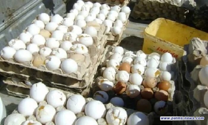 مجلس محافظة بغداد يحذر من انتشار البيض المدبلج